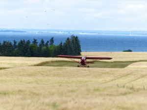 7_Danemark_5_Femo