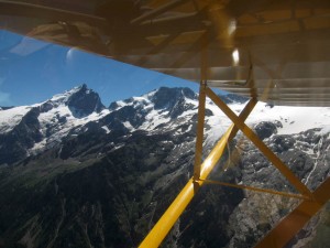 IMG_0494