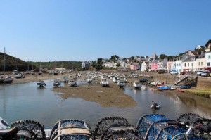 IMG_8487