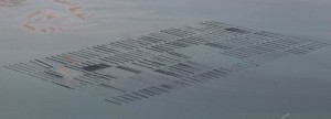 IMG_8628