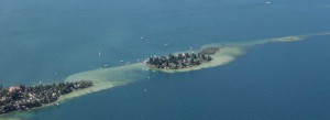 IMG_9460