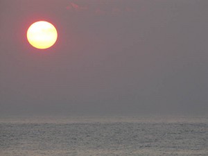 IMG_2141