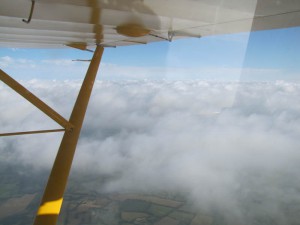 IMG_2357