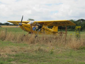 IMG_2439