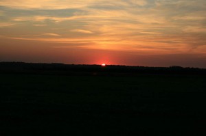 IMG_1130