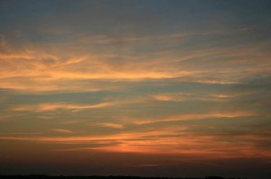 IMG_1139
