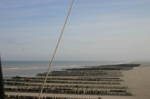 IMG_2074