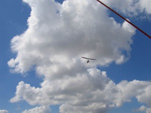 IMG_4328