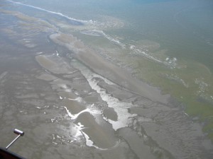 IMG_4349