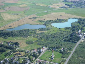 IMG_4385