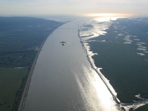 IMG_4446