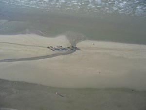 IMG_4469