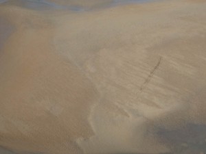 IMG_4476