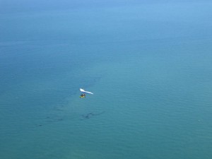 IMG_4517