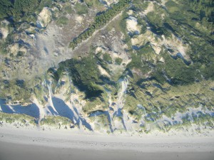IMG_4784