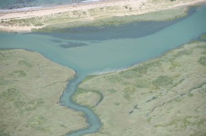 IMG_6400