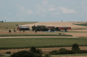 DSC_1043