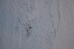 20130313_120