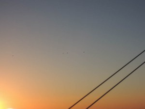 DSCN2713