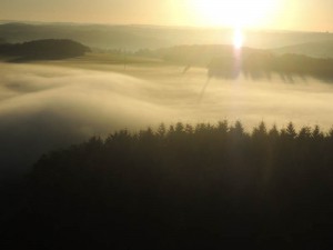 DSCN2854