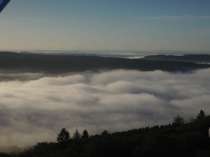 DSCN3007