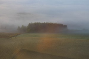 IMG_6912  