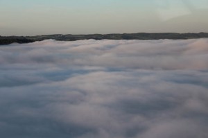 IMG_6924  