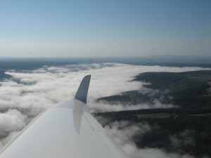 IMG_5951