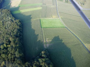 CIMG1656