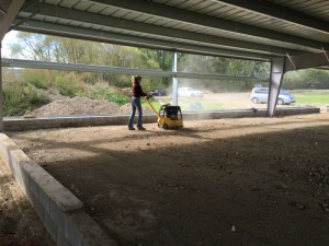 Photo 03-10-15 15 08 18