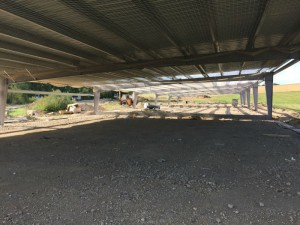 Photo 09-09-15 16 18 52