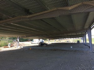 Photo 11-09-15 14 04 58
