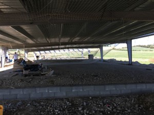 Photo 11-09-15 14 21 54