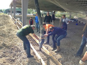 Photo 12-09-15 11 12 54