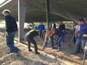 Photo 12-09-15 11 13 35