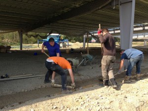 Photo 12-09-15 12 06 30