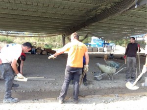 Photo 12-09-15 12 06 56
