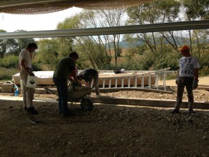Photo 12-09-15 12 14 51