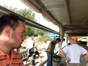 Photo 12-09-15 12 16 30