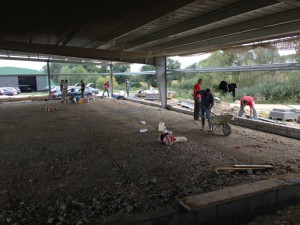 Photo 12-09-15 15 50 35