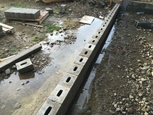 Photo 14-09-15 18 09 26