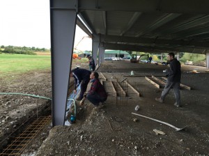 Photo 17-09-15 17 12 47