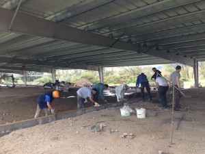 Photo 19-09-15 12 27 16