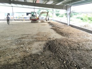 Photo 19-09-15 16 14 50