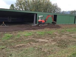 Photo 19-10-15 16 33 01