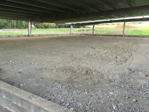 Photo 27-09-15 18 10 27
