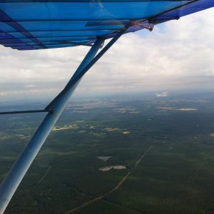 4-forets-de-st-fargeau-a-saumur