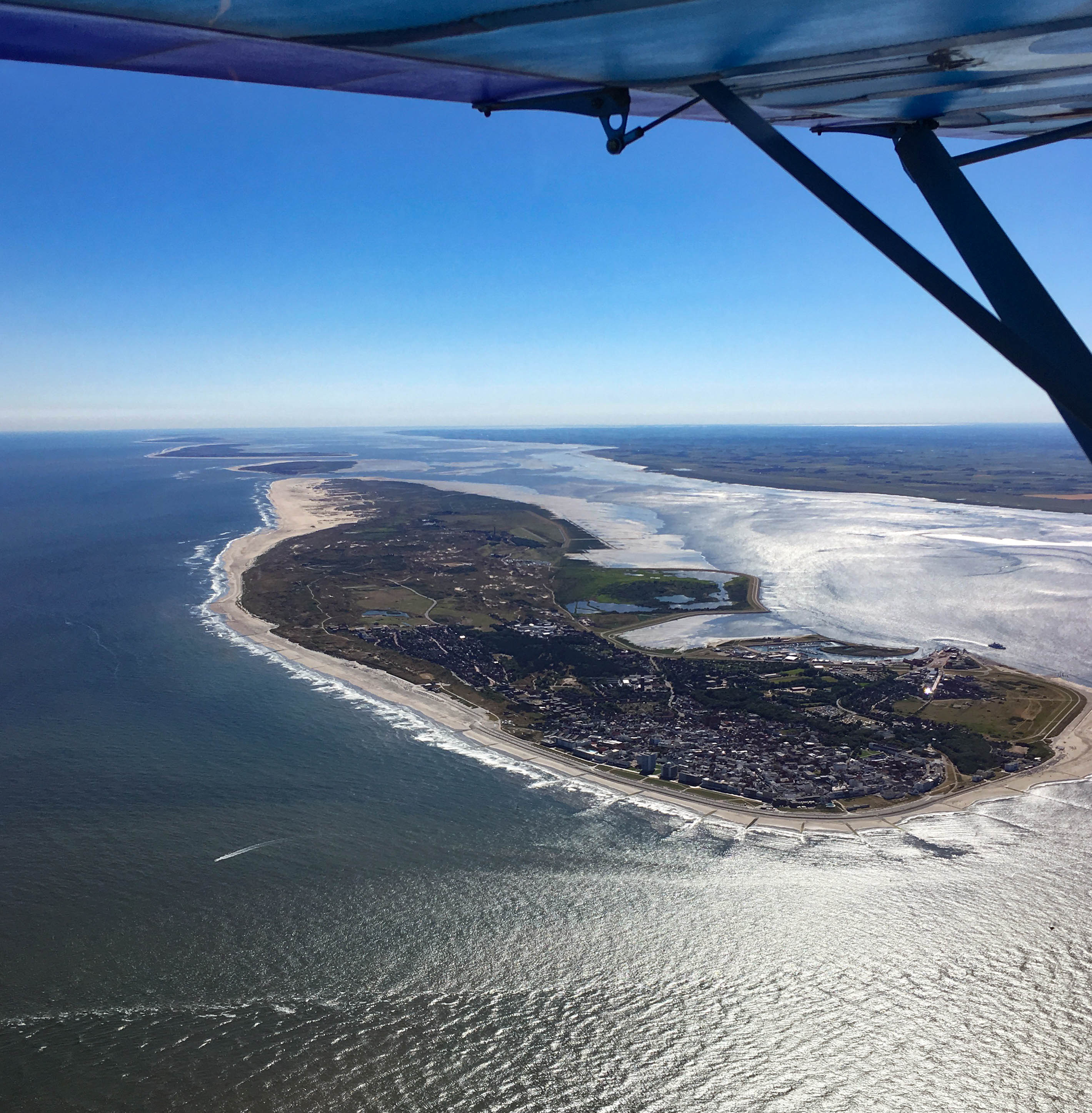 Le petit bleu aux iles de la Frise
