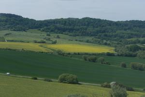 unbenannte Fotosession-3785