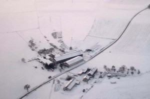 snow_fly_29-12-2005_3